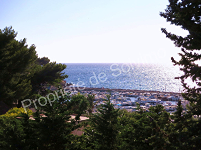 STUDIO VUE MER - SAINT CYR SUR MER