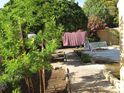 Toulon Ouest Maison en viager sur une tete