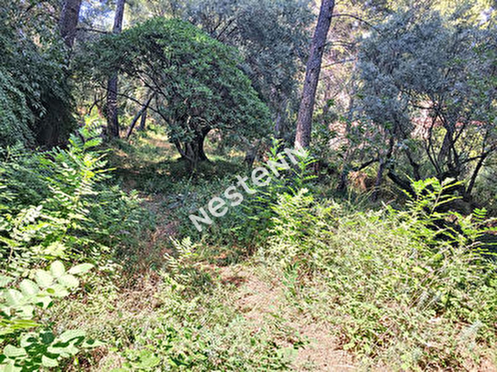 Terrain Toulon 383 m2 au 4 chemin des routes