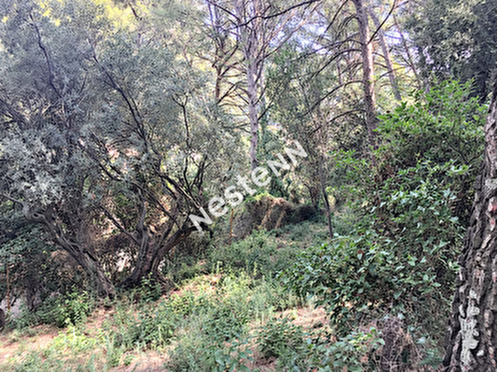 Terrain Toulon de 473 m2 au 4 chemin des routes