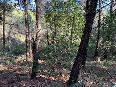 Le Beausset Beau terrain de 659 m2
