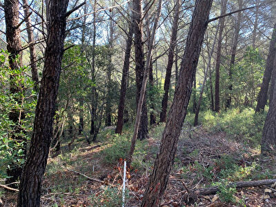 Le Beausset Terrain de loisirs de 727 m2