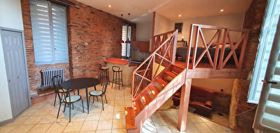 Appartement en duplex 44,42m2 meuble, quai lombard Toulouse centre ville