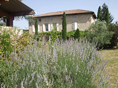MAISON EN PIERRES ROMANS SUR ISERE - 7 pieces - 360 m2