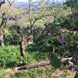 07130 TOULAUD - Terrain 1