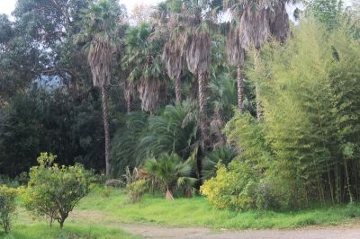 TERRAIN CONSTRUCTIBLE BIGUGLIA - 1100 m2