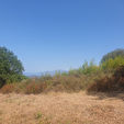 20246 RAPALE - Terrain 1