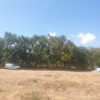 20246 RAPALE - Terrain 2