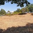 20246 RAPALE - Terrain 3
