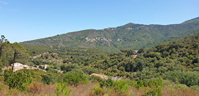 TERRAIN SUR BARCHETTA POUR LES AMOUREUX DE LA NATURE