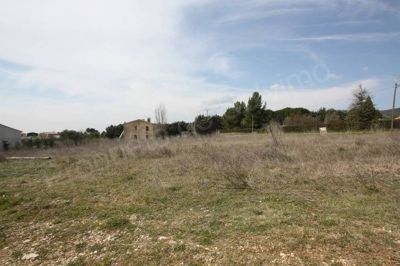 Terrain plat viabilise a Lourmarin
