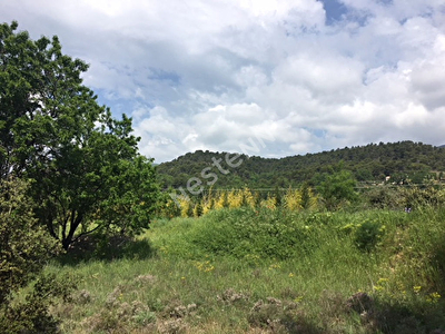 Nouveau Terrain - Cucuron 1800 m2 reel