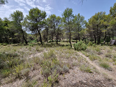 Terrain a Rognes de 17000 m2 NON CONSTRUCTIBLE