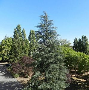 Appartement Craponne 4 pieces 69.82 m2