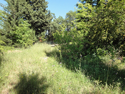 Terrain Brignoles 1435 m2