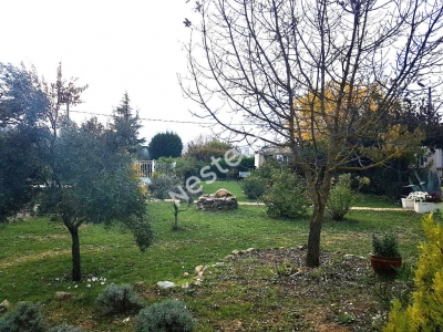Terrain Brignoles 1115 m2