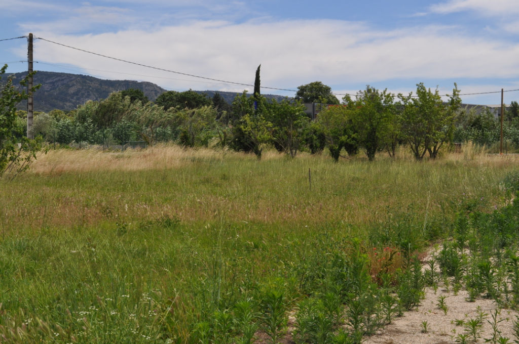 photos n°1 Terrain Cavaillon 802 m2
