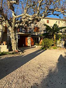 L'Ile de la Barthelasse, Appartement T2 Jardin AVIGNON