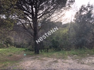 A VENDRE : Montesquieu des Alberes magnifique terrain constructible de plus de 1700 m2