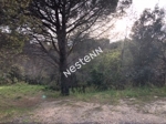 66740 MONTESQUIEU DES ALBERES - Terrain