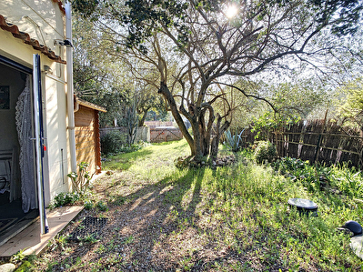 A VENDRE Laroque des Alberes maison de vacances 4 faces 34 m2 sur 248 m2 de jardin.