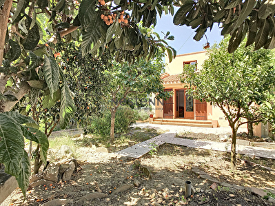 Maison 3 faces de 101 m2 / 389 m2 de terrain