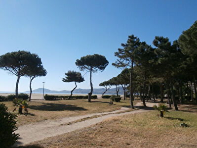 Appartement 3 pieces Argeles sur mer 50 metres de la plage.!
