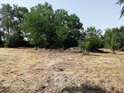 TERRAIN A BATIR AU CALME 1000 M2