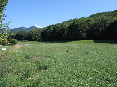 PROCHE DE FOIX Terrain 11 600 m2