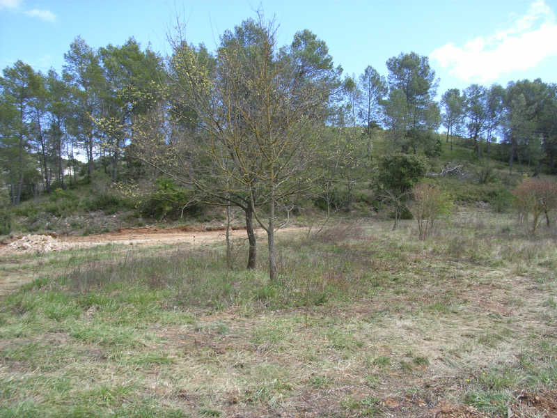 photos n°1 TERRAIN CONSTRUCTIBLE PRADES LE LEZ - 900 m2
