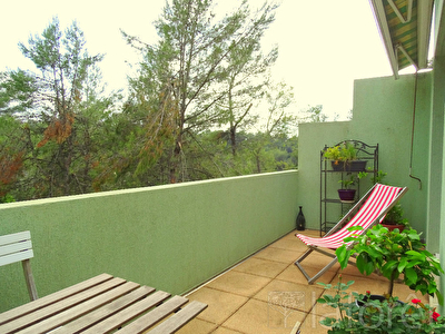Appartement Saint Gely Du Fesc 2 pieces avec terrasse