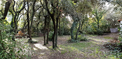 Terrain constructible 612 m2 Saint Gely du Fesc