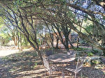 34380 VIOLS LE FORT - Maison 3