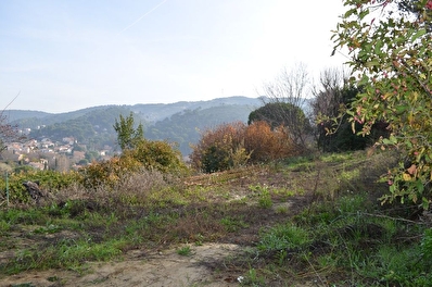 TERRAIN ALLAUCH