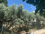 13015 MARSEILLE - Terrain