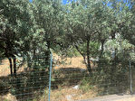 13015 MARSEILLE - Terrain