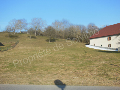 MENTHONNEX-EN-BORNES Terrain 1200 m2