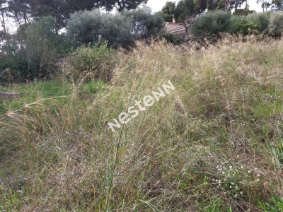 Terrain La Ciotat 943 m2