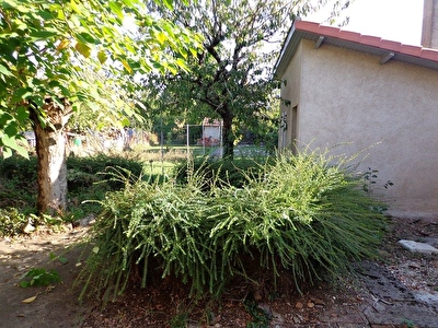Maison Caussade 3 pieces 80 m2