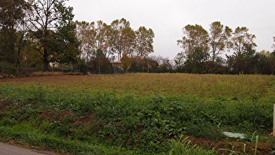 Terrain a batir Beaumont de Lomagne