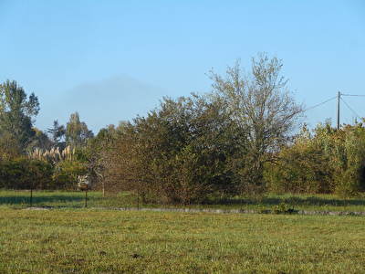 Terrain constructible Montauban 1354 m2