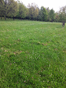 Terrain viabilise 1800 m2 Cordes Tolosannes