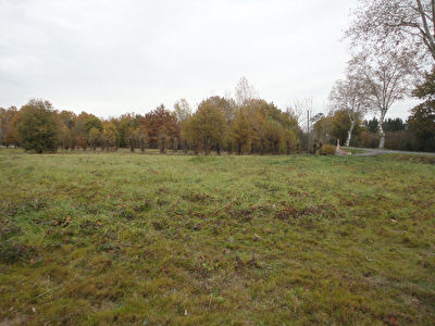 Terrain viabilise 8000 m2 en ZONE UI proche Montauban Sud