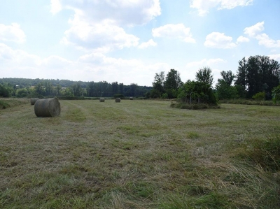 Terrain constructible 5056 m2 + maison ancienne Montauban