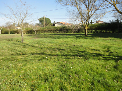 Terrain constructible 1000 m2 Montauban Saint Martial