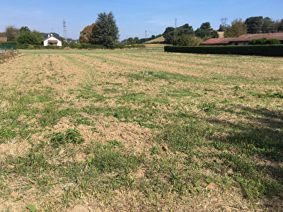 Terrain Meximieux 1087 m2