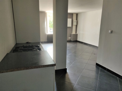Appartement Montluel 1 piece 35 m2