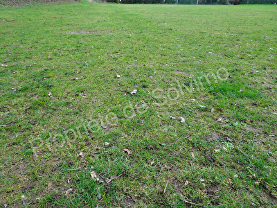 Terrain Quimper Kerfeunteun 350 m2