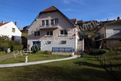 Maison familiale Hombourg Haut 7 pieces 183 m2