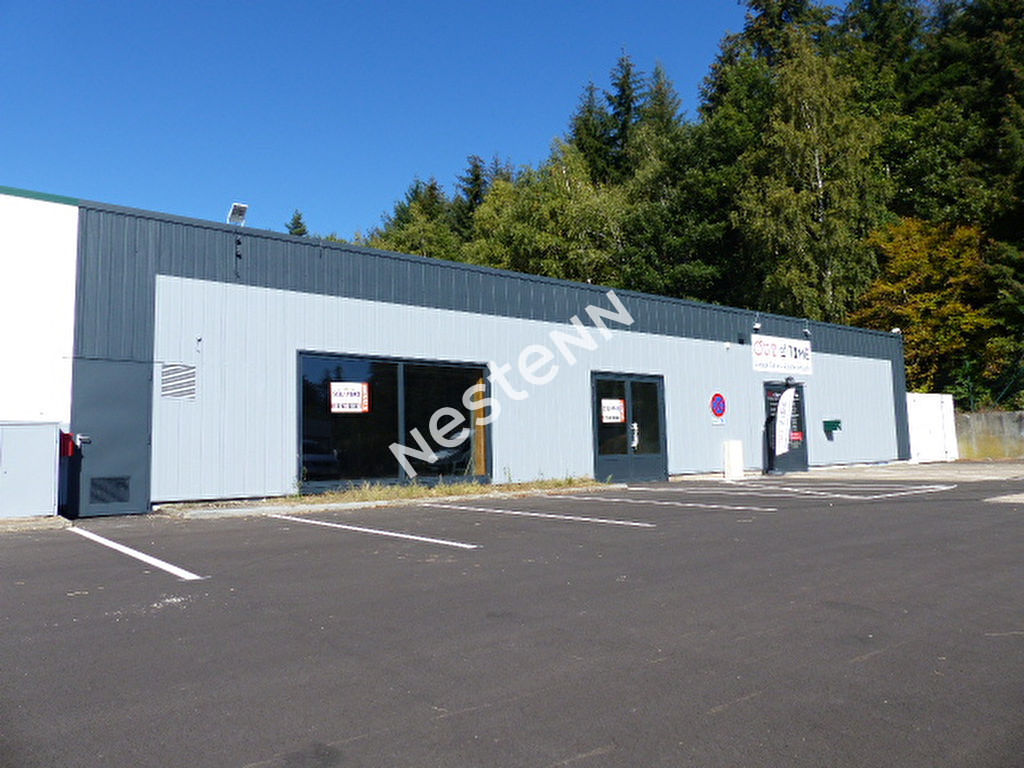 photos n°1 CELLULE COMMERCIALE LONGEVILLE LES SAINT AVOLD - 601 m²